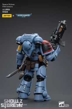 JoyToy Source 1/18 Warhammer 40K Space Wolves Intercessors -Show.Z Store 05914343e7