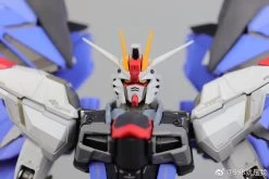 Wuming WMNL NoName 1/100 MG ZGMF-X10A ZGMFX10A Freedom Gundam Version 2.0 -Show.Z Store 685ca78863