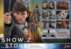 [Pre-Order] Hot Toys HT 1/6 Newt Scamander MMS512 Fantastic Beasts: The Crimes Of Grindelwald -Show.Z Store c095dafc42