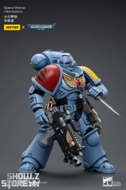 JoyToy Source 1/18 Warhammer 40K Space Wolves Intercessors -Show.Z Store cc7ba6cf97
